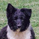 Ibid was adopted in June, 2004